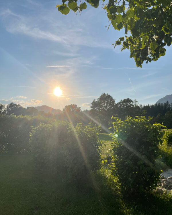 Lebensenergie-Qi-im-Sonnenaufgang