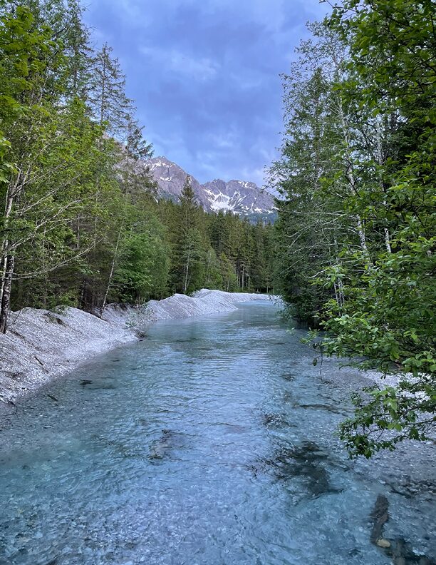 Beitragsbild-fünf Elemente