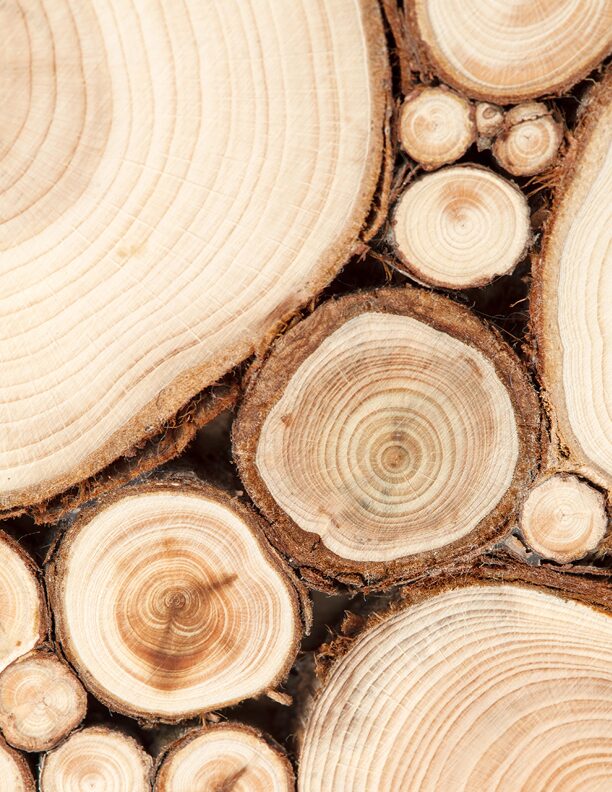 Blogfoto-fünf Elemente